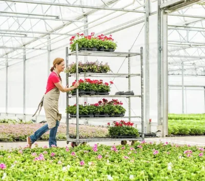 Galvanizing Metal Mesh Greenhouse Trolley Carts Easy to Assemble Flower Trolley for Agricultural Planting and Hobby Farm