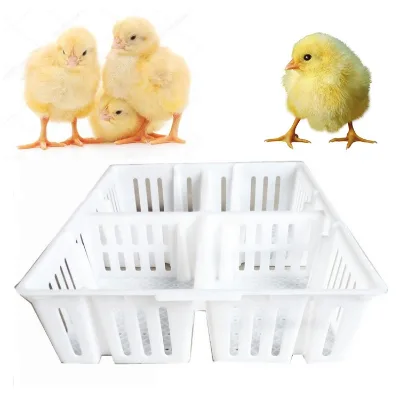 Factory Directly Chicken Transportation Cage/poultry Transportation Cage for Chick