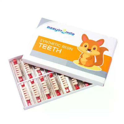 Denture Dentistry for Dental Education and Dental Teeth Teaching Teeth Dental Synthetic Resin Tooth