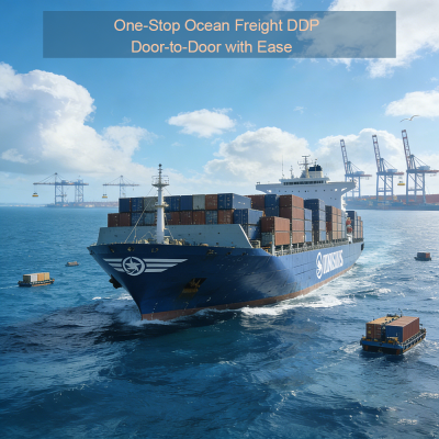 China Freight Forwarder Sea Air LCLFCL Transportation DDP Door to Door 3PL International Logistics Shipping to Spain USA France