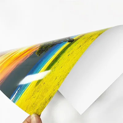 BAIWANG 5/6/8 Inch D800 D700 De100 Glossy RC Digital Inkjet Mini Lab Printer Photo Paper Roll with Safe Packaging
