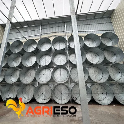 Poultry Box Fan Push Pull Ventilation Cooling Fan With Siemens Motor for Tunnel Ventilation System