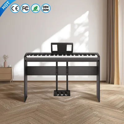 OEM Same Brand P-125-128 Electric Digital Piano Keyboard Professionnel Electronic 88 Keys Weighted Teclados Piano Digital Piano