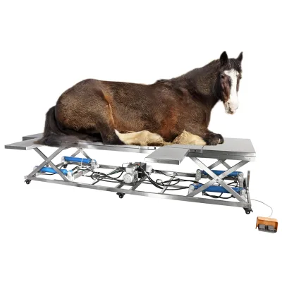 IN-P005 Professional Reusable Veterinary Surgical Hydraulic/Electrical Horse Operating Table for Animal Surgery