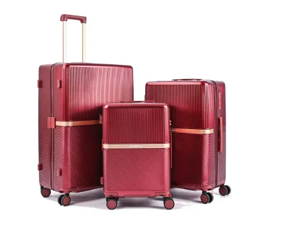 Unisex High Quality Carry-On Luggage Lightweight 20\" & 28\" PC Aluminum Large Suitcase With Spinner TSA Lock Metallic Material
