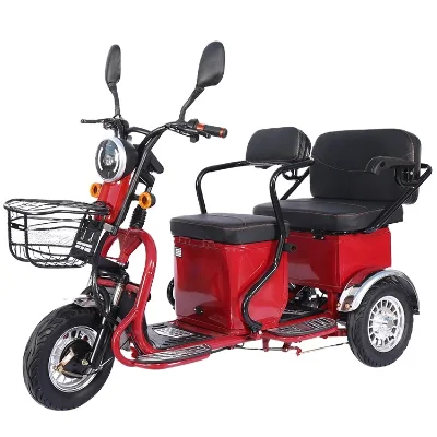 Three-Wheel Electric Pedicab with 600w 800w Motor 48v 3-Speed Lead-Acid Battery Power Mult-Purpose Foldable Seat for Passengers