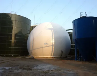 Double Membrane Biogas Holder, Biogas Storage Tank, Automatic Control System for Customizing