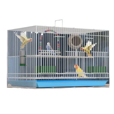 Wholesale Clearance Sale for Solid Pattern Metal Bird Cage for Pigeons Starlings Cockatiels and Budgies Boxed Packing