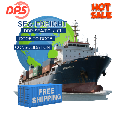 Professional IATA Air Freight Forwarder Dangerous Goods Certified Fast Transit