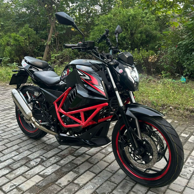 High-Performance Twin-Cylinder Sportbike 160km/h Top Speed