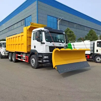 Heavy Duty Winter Service Vehicle | S1TRAK Snow Plow Truck 10m Euro 5/6 Diesel Engine V-Type Steel Hopper for Russia/North