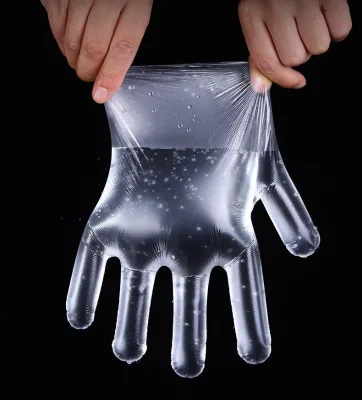 Compostable Clear Medium Waterproof Disposable Gloves Biodegradable PLA Eco-Friendly Kitchen Protection Serving Tasting Events