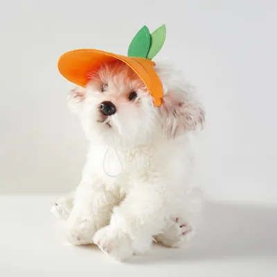 New Pet Hat Orange Shape Dog Sunshade with Ties Wholesale Manufacturer