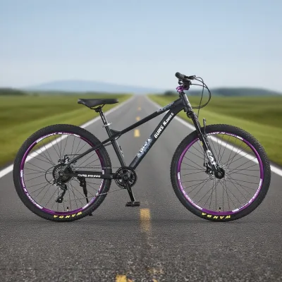 Factory Direct Sale Price,7-speed Carbon Steel Frame Mountain Bike, Carbon Steel Shock-absorbing Front Fork