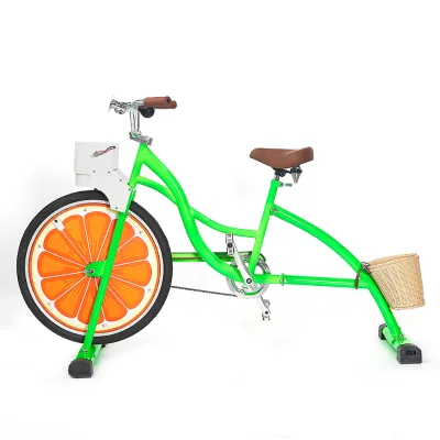 EXI Professional Sportbikes Equipment Pedal Power Youth Adult Orange Stationary Bicycle