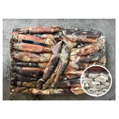 High Quality Frozen Squid Seafood with Customizable Packaging Certified for Global Importers