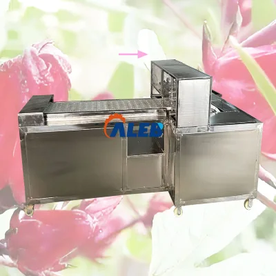 High Quality Roselle Pitting Machine to Extract Fruit Pit