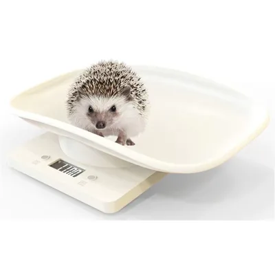 White ABS Ultra Thin Animal Scales LED Display Pet Weighing Scale 10kg Digital Pet Scale