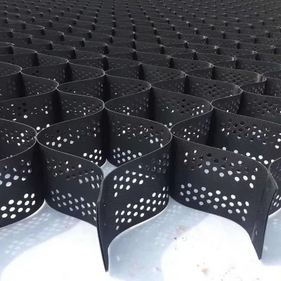 SGS Testing Certification Geogrid Quality Assurance
