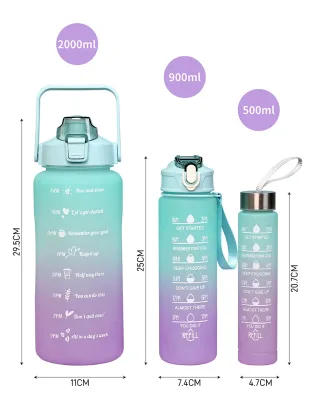 Factory Hot Sales Hot Style 2000Ml Sports Kettle Set of 3 for Sale Portable Blender USB Juicer