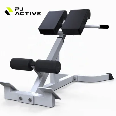 PINJIAN Multi-functional Machine Fitness Equipment Adjustable Bodybuilding Sit up Roman Chair Back Extension Exercise Bench