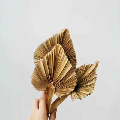 2023 New Product Wholesale Palm Tree Leaf Small Palm Leaves for Home/Wedding Decoration Flowers