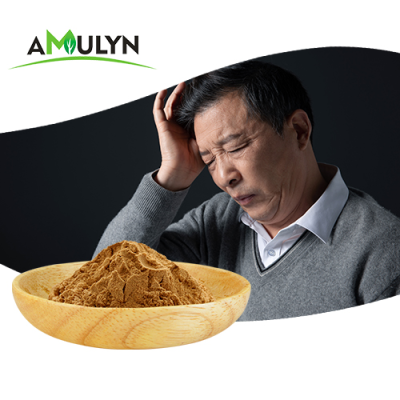 Amulyn Tribulus Terrestris Extract Tribulus Terrestris Saponin 60% Powder for Man