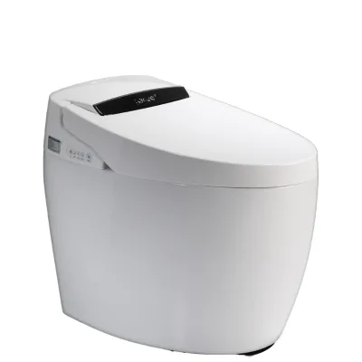 110v/220v Porcelain Automatic European Sensor Siphon Flushing Bidet WC Intelligent Bowl Smart Japanese Toilet P-trap/S-trap