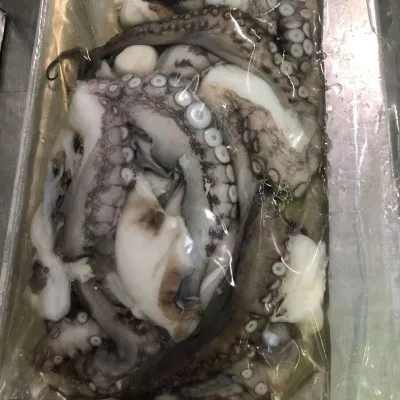 Wholesale Seafood Frozen Octopus Good Quality Origin Indonesia