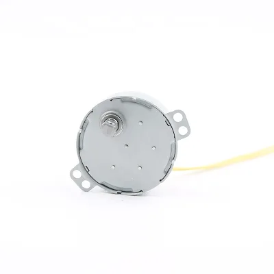 Free Sample 2024 New Design Fan Motor Synchronous Motor 49TYJ for Material Level Meter