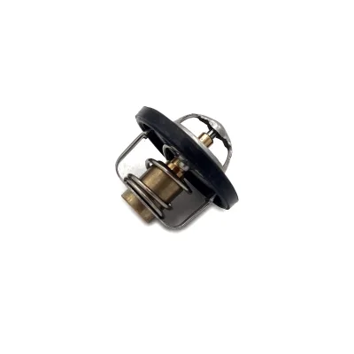 Auto Parts Cooling System Thermostat 94581899 for Chevrolet Lova Aveo Damas / Labo