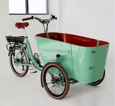 3 Wheels Electric Cargo Tricycle With Reinforced Steel Frame Cargo Bike Electric Bicycle Cargo for Sale