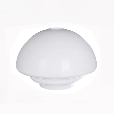 Traditional  European French Glass Lamp Covering for Suspended Lights