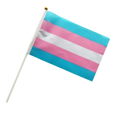 Wholesale 14*21cm Transgender Plastic Stick Hand Flags LGBT Awareness Tool for Education and Travel Agency