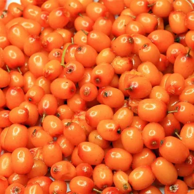 Frozen Sea Buckthorn Berries