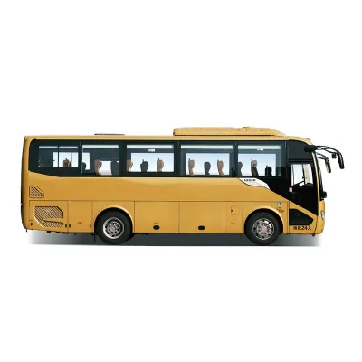 Chinese Brand New Cheap 24 Seats Higer Coaster Bus Coach Bus