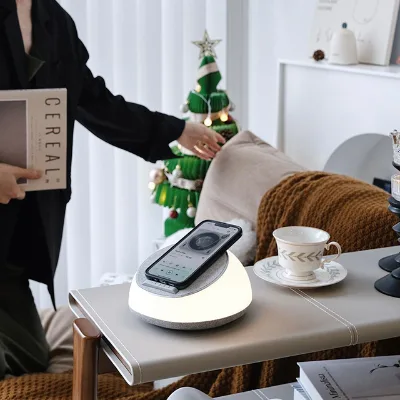 Living Room Bedroom Desk Bedside Phone Charger Simple Modern Decorative Warm White Night Table Lamp with  Usb Charging Port