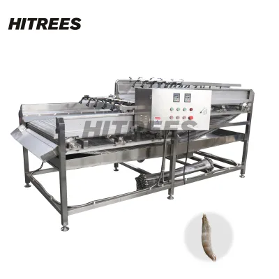 Heavy Duty Spray Type Ice Glazing Machine for High Volume Operations with Reliable Output