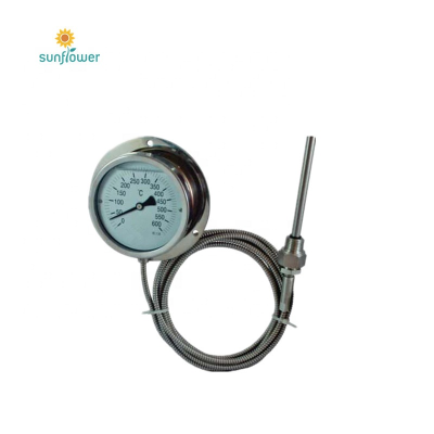Temperature Measuring Instrument Industrial Thermometer Temperature Gauge