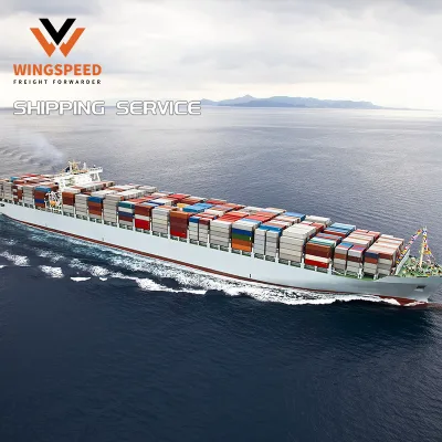 Door to Door Shipment FCL LCL Sea Shipping Cost China to USA/United States