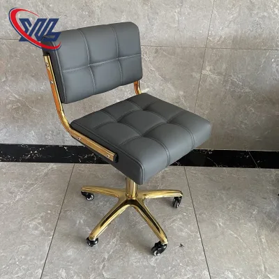 Xinman Height Adjust Professional Custom Beauty Chair Salon Chair Massage Chair Spa
