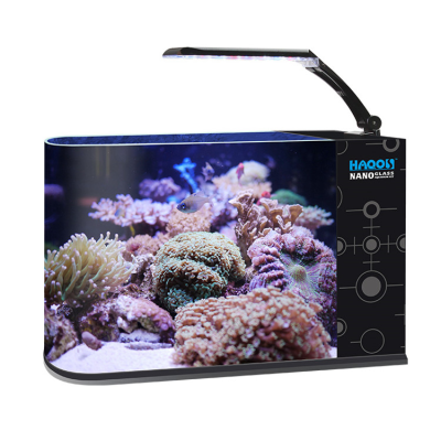 Acuarios Small Aquarium Fish Tank