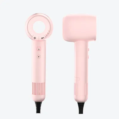3 Speed Temperature Controls Portable Bldc1600W High Speed Ionic Hair Dryer Hotel Household Use Hair Dryer