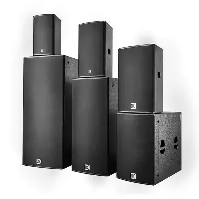 Karaoke Disco Speaker System 10" Full Range Loudspeaker for Entertainment Place