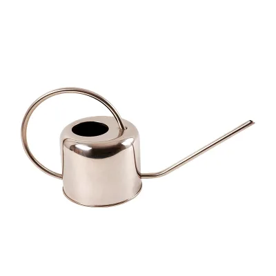 Large Capacity 1 Litre Watering Can Long Spout Metal Plant 1000ml Watering Can Bonsai