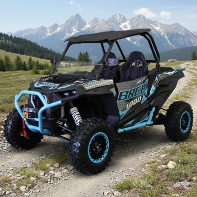 TONGCAI Chinese 2-Seater 4x4 1000cc 4-Stroke Gas/Diesel Engine Automatic Transmission Side-by-Side Differential Lock Racing