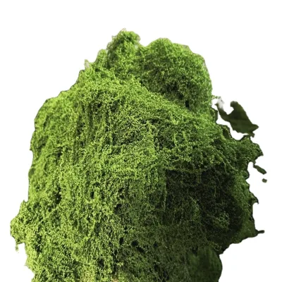 Decorative Artificial Grass Moss Panel with Fabric Backing Lightweight & Realistic for Easter Shopping Mall Wall Landscaping