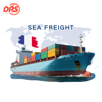 China France Sea Freight Door-to-Door International Forwarding Service with Free Warehousing for LCL Trucking Line