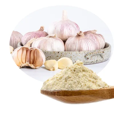 Food Grade Vegetable Flavor Add to Make Gourmet Mellow Delicious Garlic Essence Flavour Powder for Food