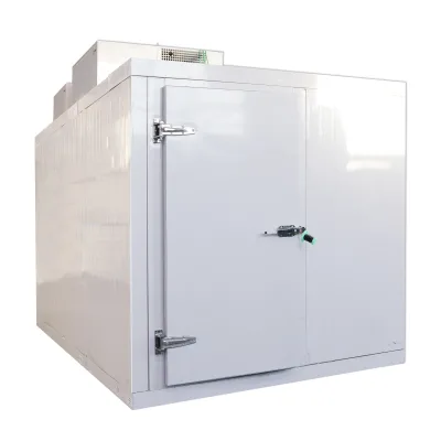 China Walk-In Cold Room with Bitzer Compressor Engine Motor for Fresh Fruits Vegetables Negative Cold Storage Storage Chiller
